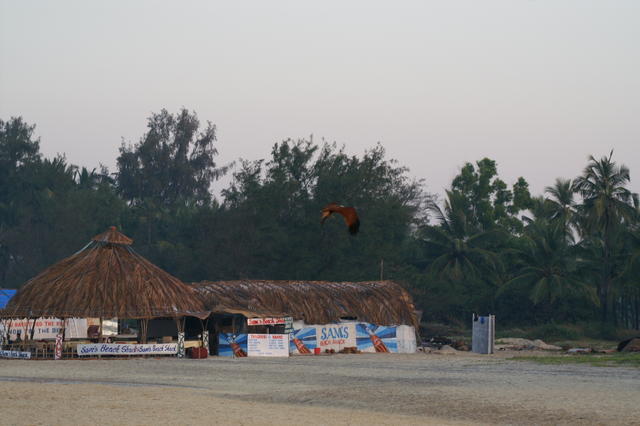 PICT0769.JPG