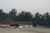 PICT0769.JPG