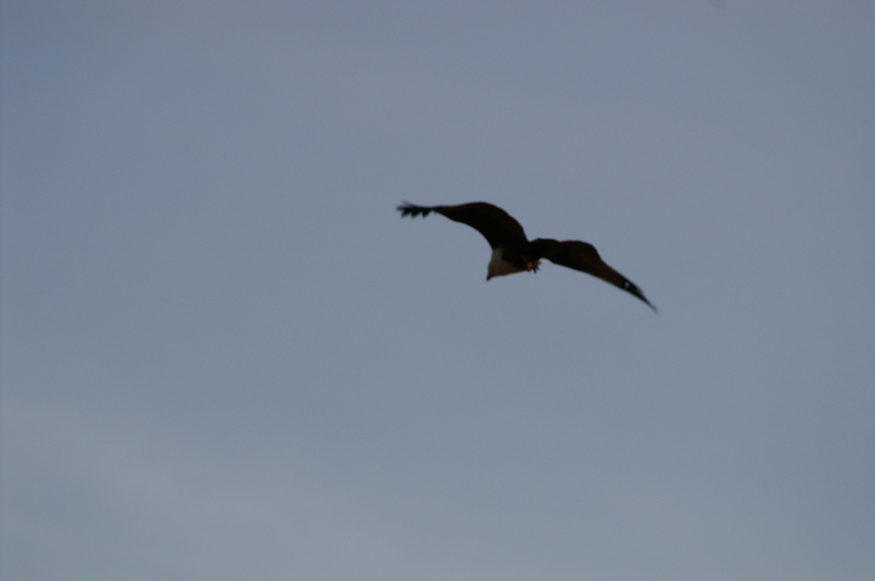 PICT0770.JPG