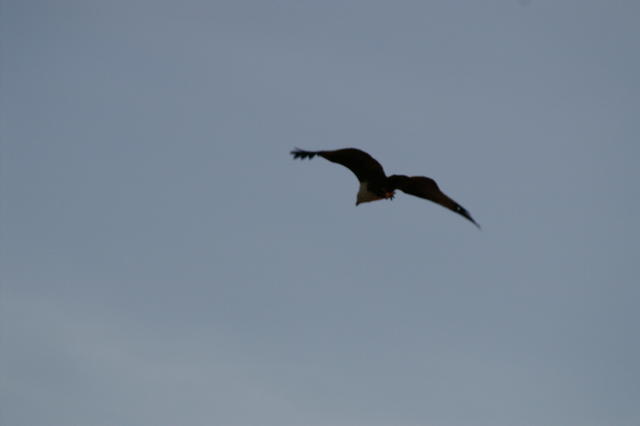 PICT0770.JPG