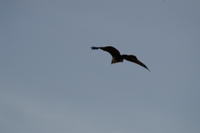 PICT0770.JPG