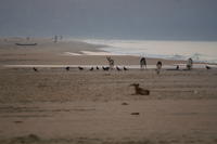 PICT0772.JPG