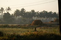 PICT0777.JPG