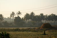 PICT0778.JPG