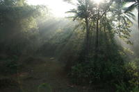 PICT0782.JPG