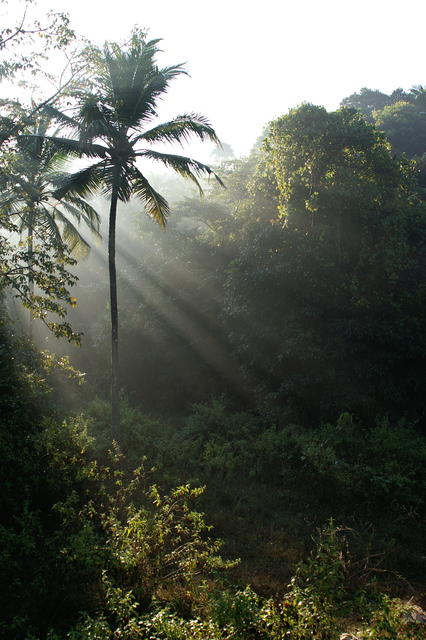 PICT0783.jpg