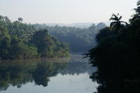 PICT0790.JPG