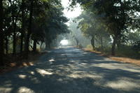 PICT0793.JPG