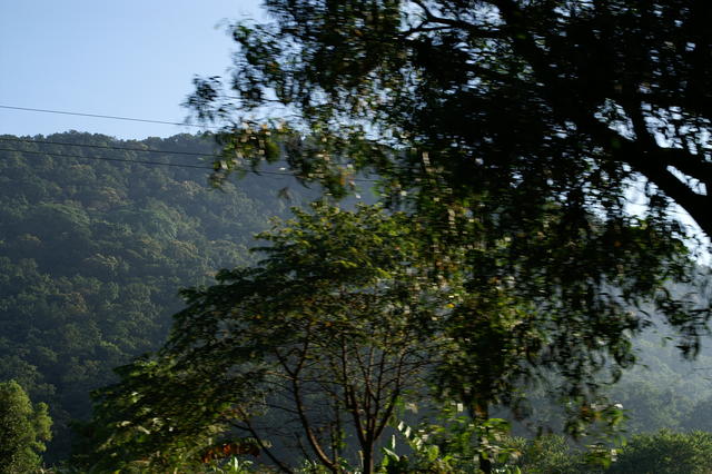 PICT0794.JPG