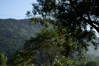 PICT0794.JPG