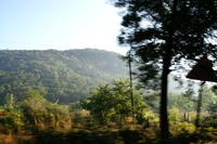 PICT0795.JPG
