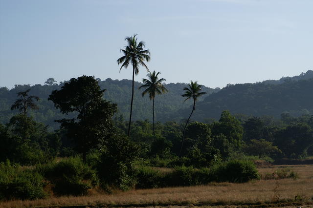 PICT0797.JPG
