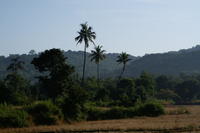 PICT0797.JPG