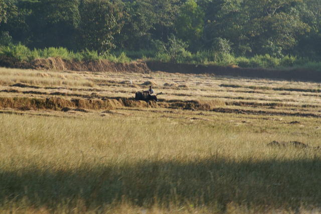 PICT0798.JPG