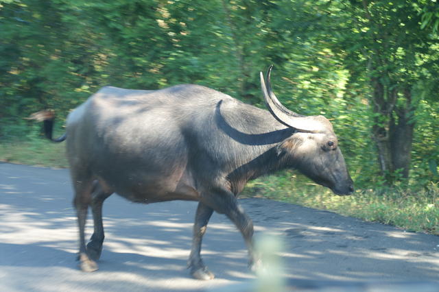 PICT0805.JPG