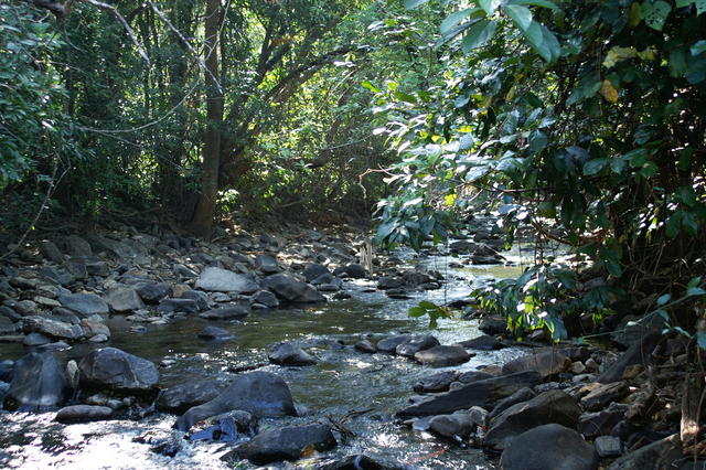 PICT0810.JPG