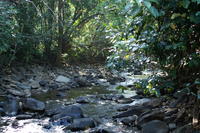 PICT0810.JPG