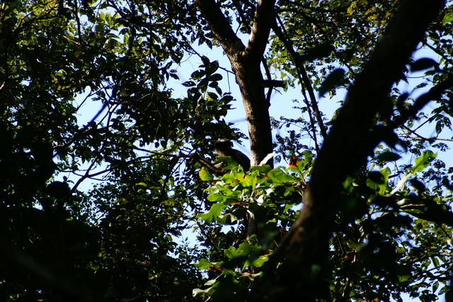 PICT0828.JPG
