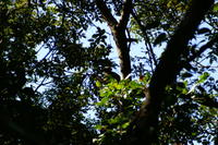 PICT0828.JPG