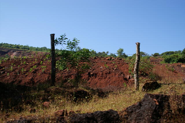 PICT0829.JPG