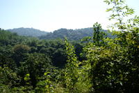 PICT0830.JPG
