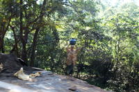 PICT0834.JPG