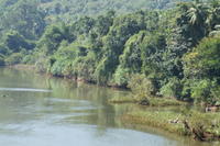 PICT0836.JPG
