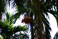 PICT0843.JPG