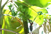PICT0844.JPG