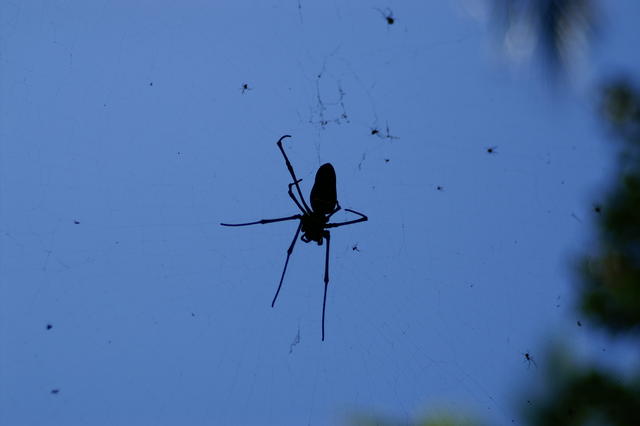 PICT0848.JPG
