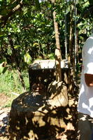 PICT0852.jpg