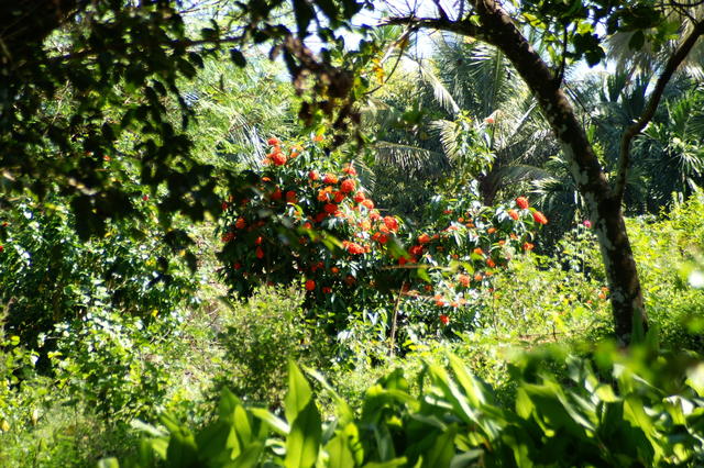 PICT0855.JPG