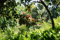 PICT0855.JPG