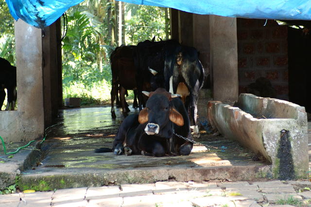 PICT0857.JPG