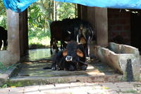 PICT0857.JPG