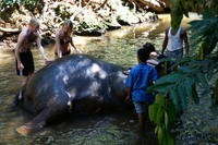PICT0858.JPG