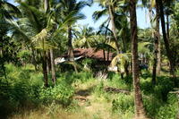PICT0862.JPG