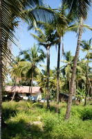PICT0863.jpg
