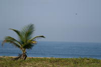 PICT1168.JPG