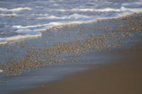 PICT1176.JPG