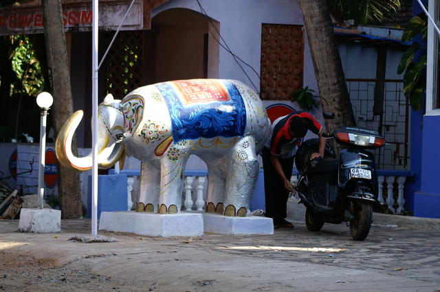PICT1186.JPG