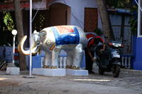 PICT1186.JPG