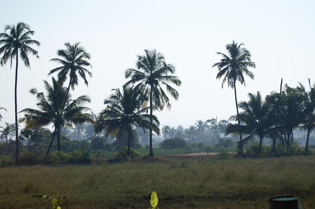 PICT1188.JPG
