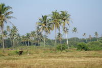 PICT1190.JPG