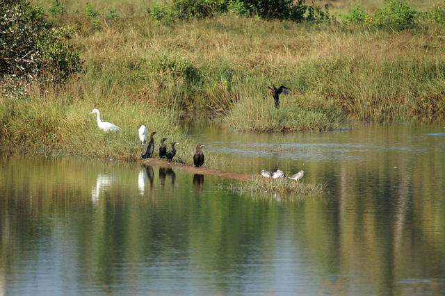 PICT1191.JPG