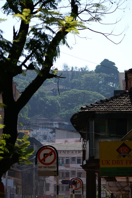 PICT1197.jpg