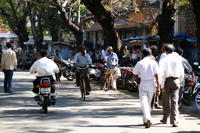 PICT1198.JPG