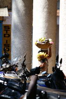 PICT1204.jpg