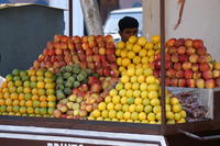 PICT1205.JPG
