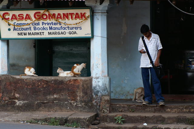PICT1217.JPG